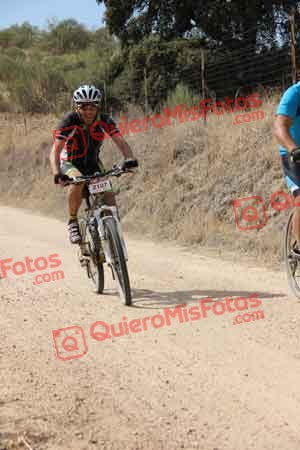 ENRIQUE MARTIN TERESA Talajara 2015 22419