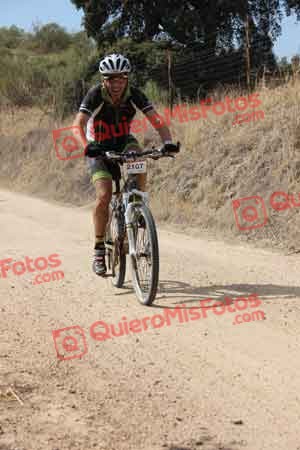 ENRIQUE MARTIN TERESA Talajara 2015 22420