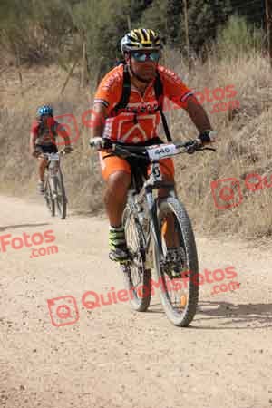 JAVIER MONTEALEGRE AGUADO Talajara 2015 22473