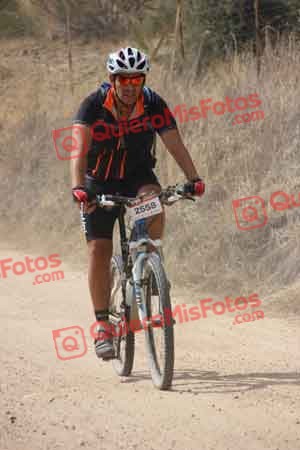 PEDRO GALLARDO DIAGO Talajara 2015 22531