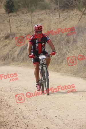 JESUS SAELICES NOVILLO Talajara 2015 22832