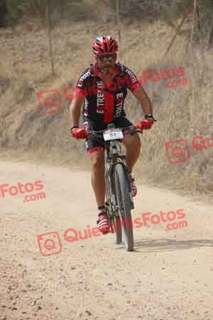 JESUS SAELICES NOVILLO Talajara 2015 22833