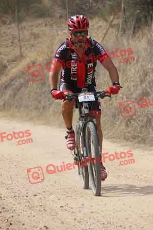 JESUS SAELICES NOVILLO Talajara 2015 22834