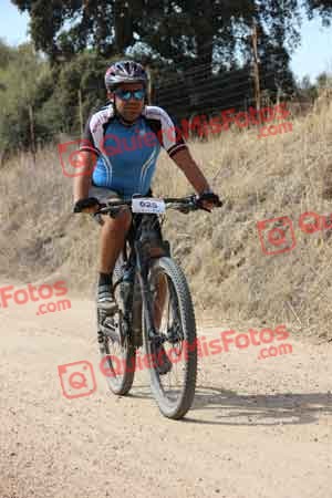 JULIAN AMOR GARCIA Talajara 2015 23223