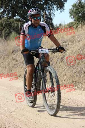 JULIAN AMOR GARCIA Talajara 2015 23224