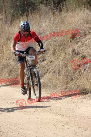 DAVID ALONSO GUTIERREZ Talajara 2015 23654