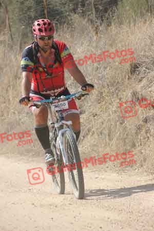 FRANCISCO JOSE GORDILLO TORRES Talajara 2015 23731
