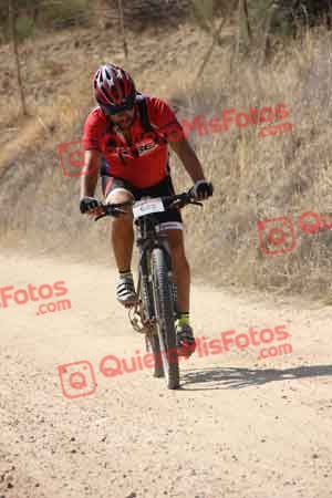 GUSTAVO ELEZ GONZALEZ Talajara 2015 24221