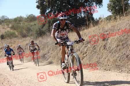 JOSE MARIA SORIANO MARTIN Talajara 2015 24382