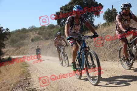 JOSE MARIA SORIANO MARTIN Talajara 2015 24390