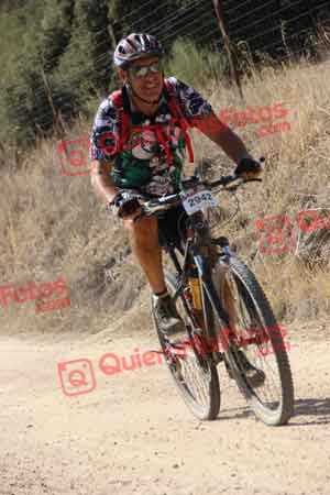 HIPOLITO ATIENZA LERIN Talajara 2015 25160