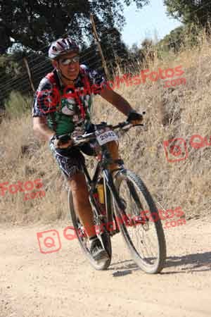 HIPOLITO ATIENZA LERIN Talajara 2015 25161