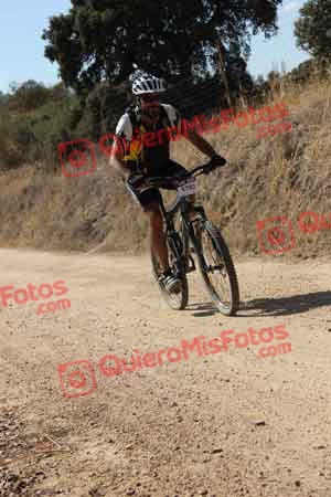 RAUL CANADA MOYANO Talajara 2015 25304