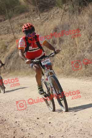 JOSE TOMAS CEDENILLAS BERNAL Talajara 2015 25409