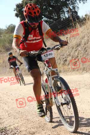 JOSE TOMAS CEDENILLAS BERNAL Talajara 2015 25413
