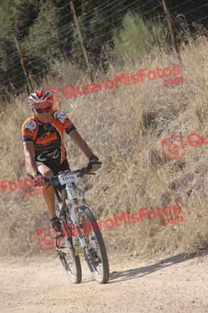 JOSE SANTANA CALVO Talajara 2015 25472