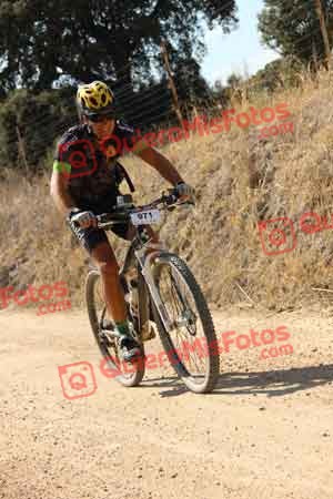 JOSE ANTONIO SANCHEZ DE LA BLANCA Talajara 2015 25765