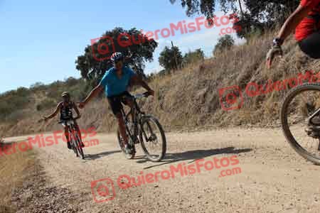 JAVIER DOMINGUEZ ALFAYATE Talajara 2015 25933