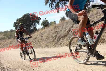 DAVID MAYORAL OLOMBRADA Talajara 2015 25936