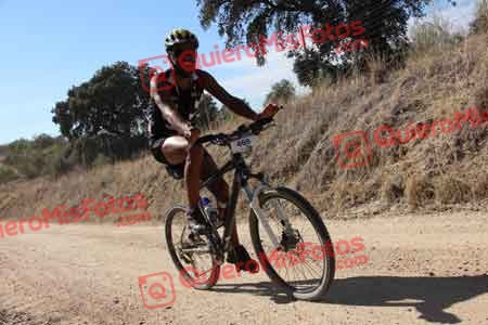 DAVID MAYORAL OLOMBRADA Talajara 2015 25937