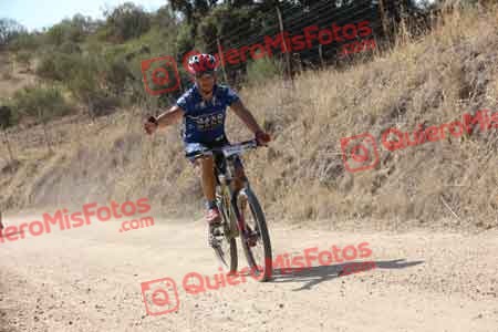 ANTONIO FERNANDEZ MARIN Talajara 2015 26132