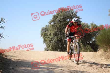 JORGE GALISTEO DE CABO Talajara 2015 26627