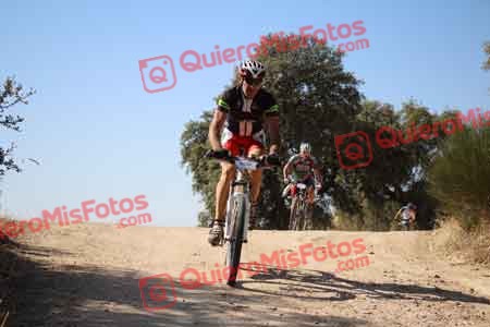 JUAN JOSE SUELA JIMENEZ Talajara 2015 26641