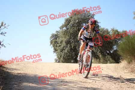 JORGE ALBARCA GOMEZ Talajara 2015 26645