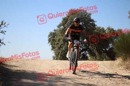 JOSE LUIS FERNANDEZ RUIZ Talajara 2015 26658