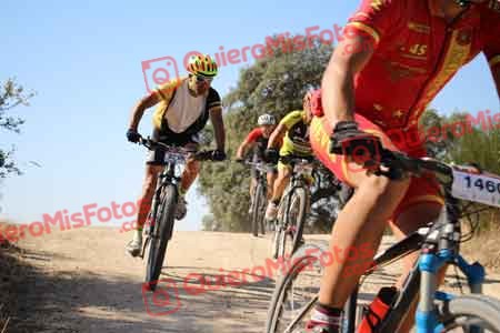 FRANCISCO JOSE BUENO HORNEROS Talajara 2015 26664