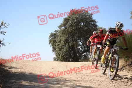 IVAN COCA DE LOS RIOS Talajara 2015 26669