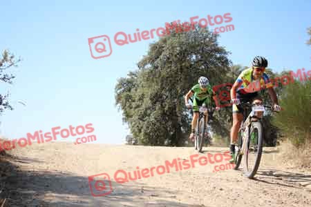 JONATHAN PAZ MADRONO Talajara 2015 26692
