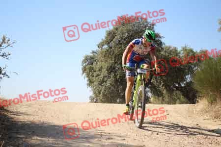 ENRIQUE SEVILLA DE LA FUENTE Talajara 2015 26702