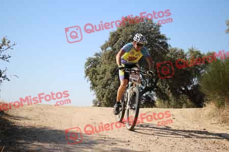JUAN JOSE GAMEZ ARIAS Talajara 2015 26714