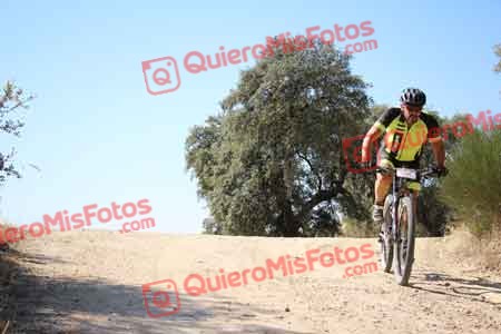 JOSE MARCELO JOFRE Talajara 2015 26720