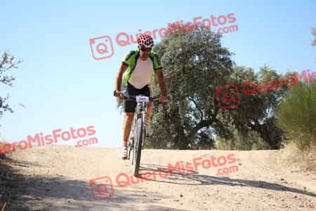 MIGUEL PEDRO LOPEZ HERNANDEZ Talajara 2015 26735