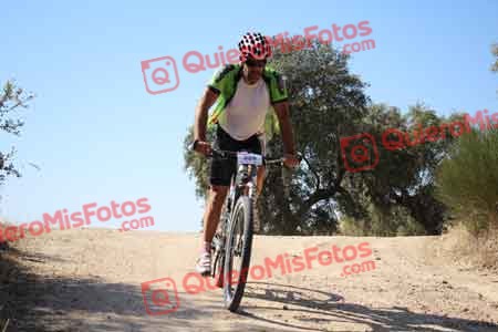MIGUEL PEDRO LOPEZ HERNANDEZ Talajara 2015 26736