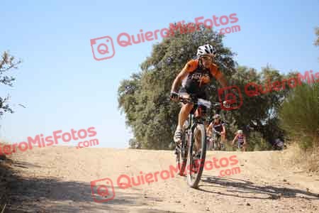 JOSE JULIAN ARRIERO TIZON Talajara 2015 26782