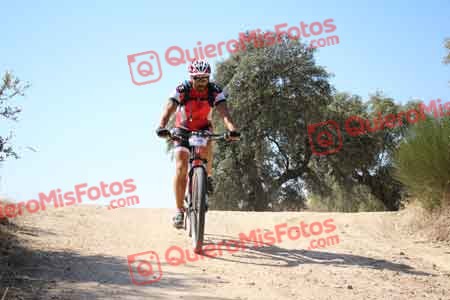 JORGE MAROTO COLLADO Talajara 2015 26823