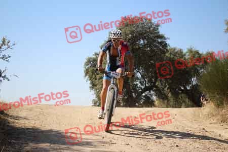 ANDREW LAINE Talajara 2015 26826