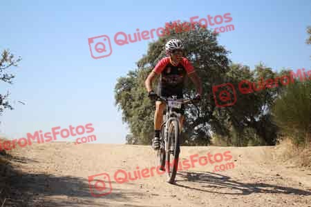 ROQUE GOMEZ CORTES Talajara 2015 26857