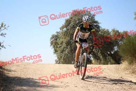 JORGE CARDENA REDECILLA Talajara 2015 26894