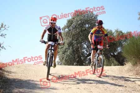 JOSE LUIS MONTERO SALAMANCA Talajara 2015 26931
