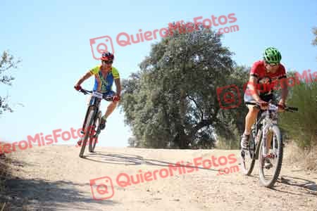 SANTIAGO TORTAJADA CASTRO Talajara 2015 27054