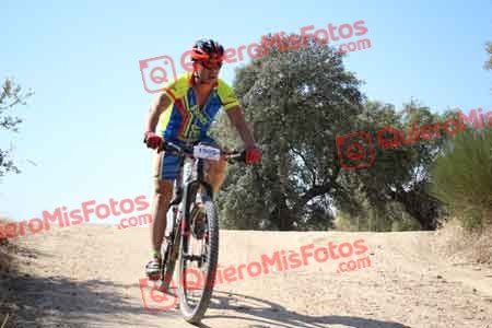 SANTIAGO TORTAJADA CASTRO Talajara 2015 27056