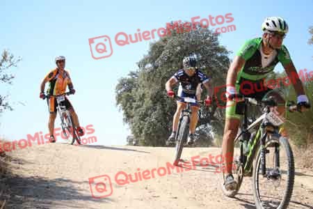 Talajara 2015 27088