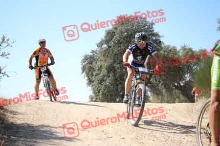 Talajara 2015 27089