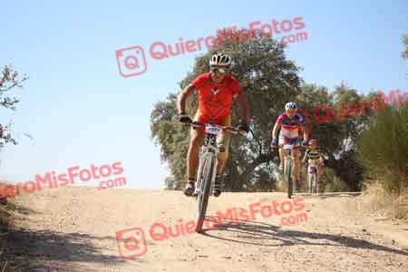 ROBERTO MARTIN ESTEBAN Talajara 2015 27211