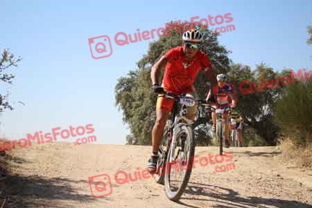 ROBERTO MARTIN ESTEBAN Talajara 2015 27212