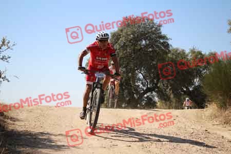 SEBASTIAN AZANA ARIAS Talajara 2015 27264